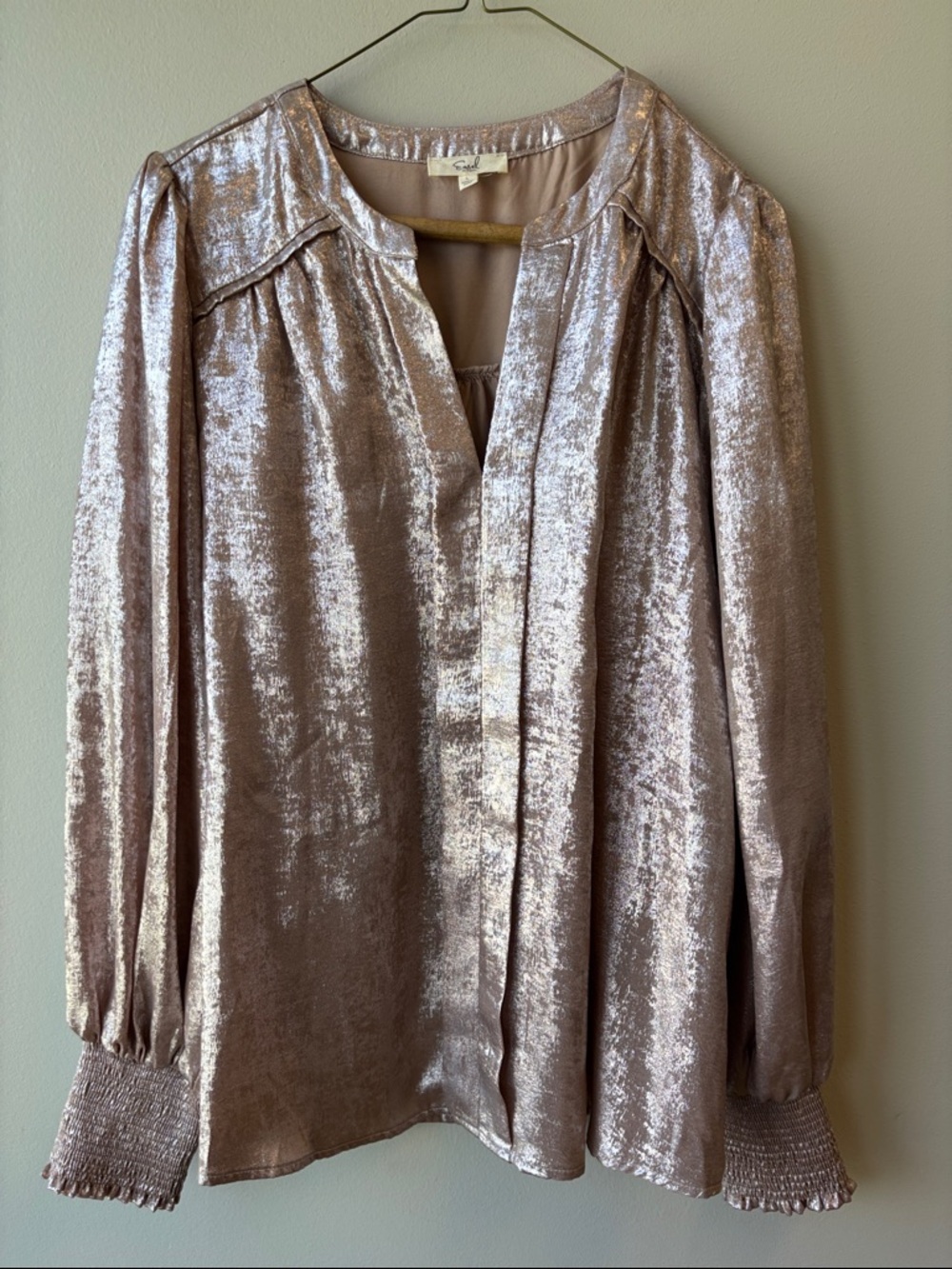 easel Shimmery Long-Sleeve Blouse